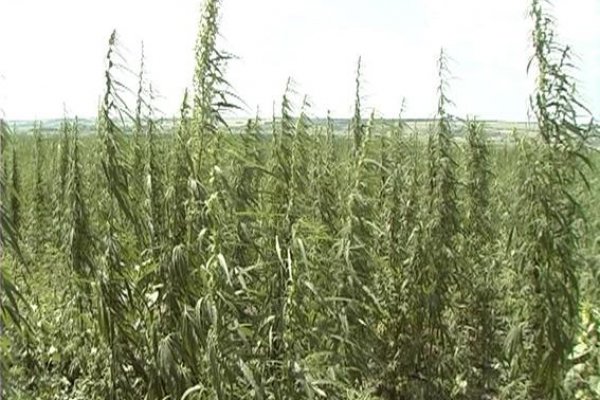 Кракен ссылка чтоб зайти krmp.cc