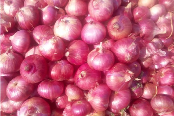 Название сайта крамп kraken ssylka onion