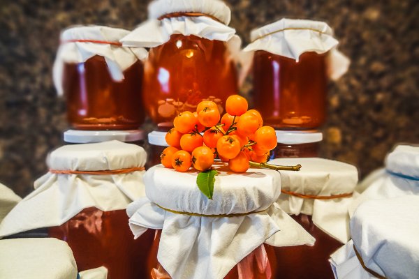 Кракен актуальная ссылка тор