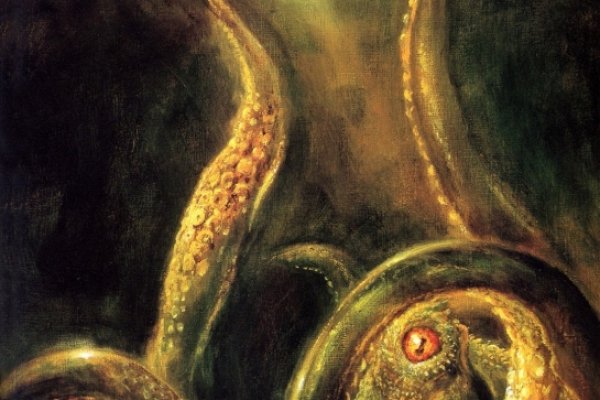 Как вывести деньги с kraken