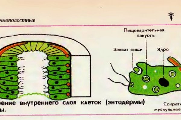 Фейковый сайт крамп krmp.cc