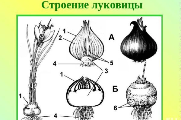 Кракен сайт с наркотиками