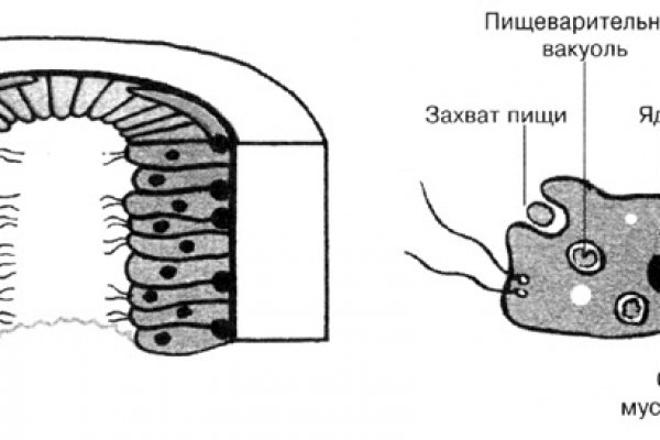 Как пополнять кракен тор