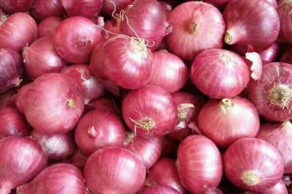 Сайт кракен не заходит onion top