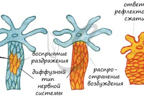 Кракен ссылка в тор