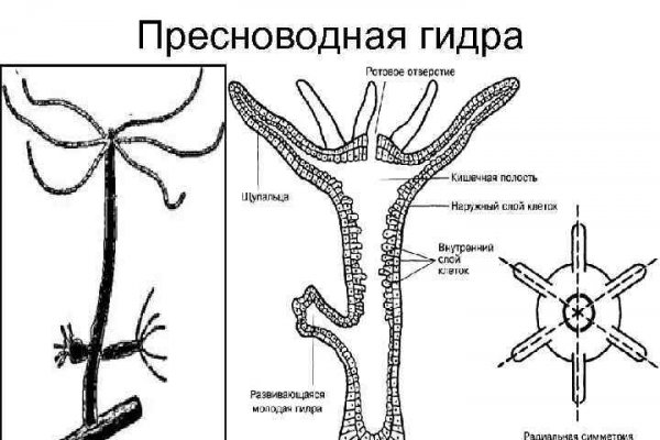 Кракен ссылка на сайт официальный регистрация