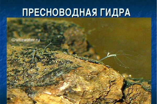 Зарегистрироваться на сайте кракен через андроид
